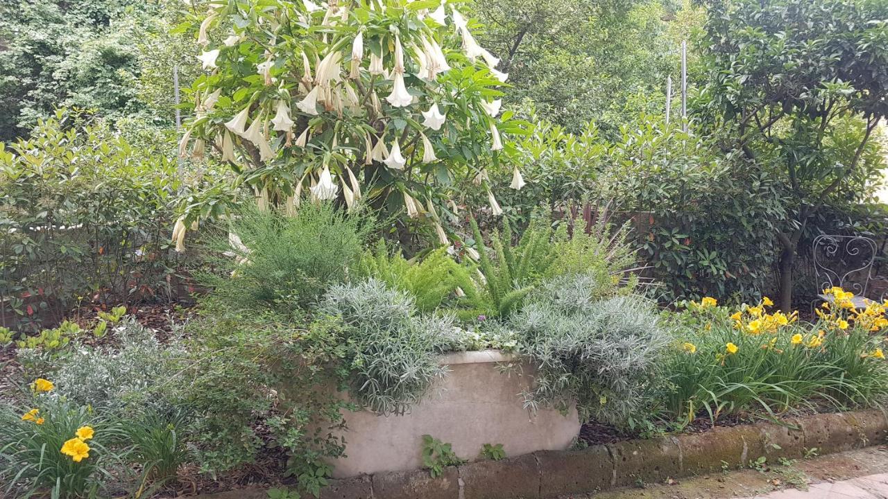 Dimora Storica "Le Stanze Di Dioniso" Villa Napoli Bagian luar foto